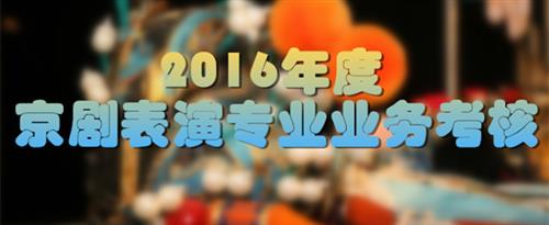 女生日皮网战国家京剧院2016年度京剧表演专业业务考...